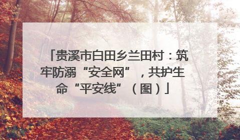贵溪市白田乡兰田村：筑牢防溺“安全网”，共护生命“平安线”（图）