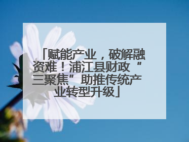 赋能产业，破解融资难！浦江县财政“三聚焦”助推传统产业转型升级