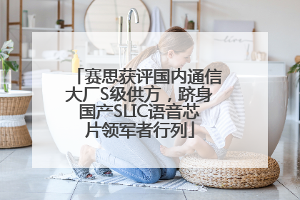 赛思获评国内通信大厂S级供方，跻身国产SLIC语音芯片领军者行列