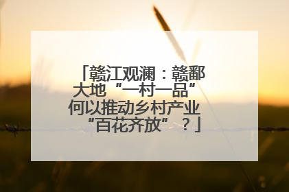 赣江观澜：赣鄱大地“一村一品”何以推动乡村产业“百花齐放”？