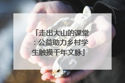 走出大山的课堂：公益助力乡村学生触摸千年文脉