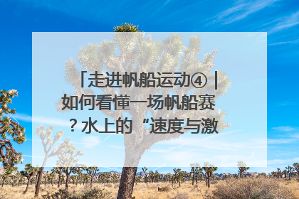 走进帆船运动④｜如何看懂一场帆船赛？水上的“速度与激情”同样精彩