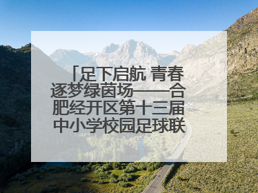 足下启航 青春逐梦绿茵场——合肥经开区第十三届中小学校园足球联赛圆满收官