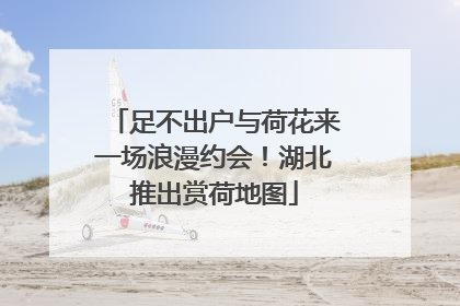 足不出户与荷花来一场浪漫约会！湖北推出赏荷地图