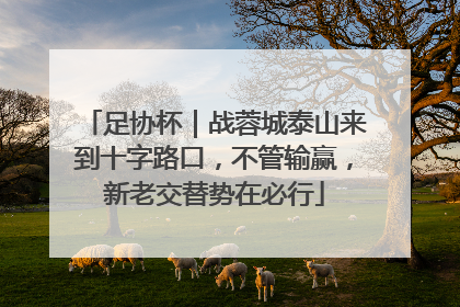 足协杯｜战蓉城泰山来到十字路口，不管输赢，新老交替势在必行