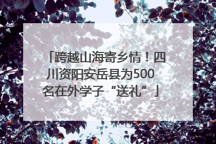 跨越山海寄乡情！四川资阳安岳县为500名在外学子“送礼”