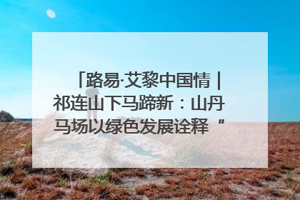 路易·艾黎中国情｜祁连山下马蹄新：山丹马场以绿色发展诠释“两山”理论实践