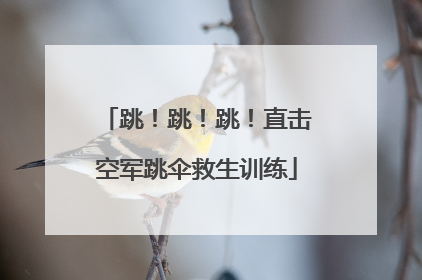 跳！跳！跳！直击空军跳伞救生训练