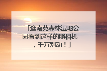 逛南苑森林湿地公园看到这样的照相机，千万别动！
