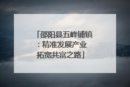 邵阳县五峰铺镇：精准发展产业 拓宽共富之路