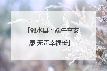 邻水县：端午享安康 无毒幸福长