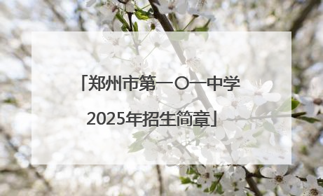 郑州市第一〇一中学2025年招生简章
