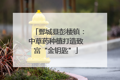 鄄城县彭楼镇：中草药种植打造致富“金钥匙”