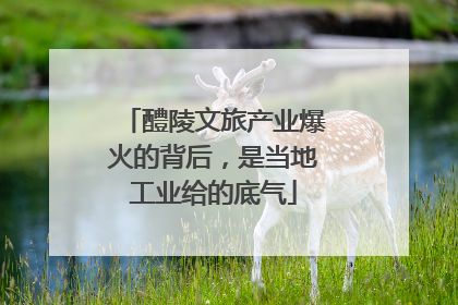 醴陵文旅产业爆火的背后，是当地工业给的底气