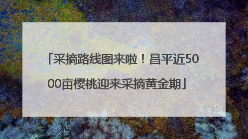 采摘路线图来啦！昌平近5000亩樱桃迎来采摘黄金期