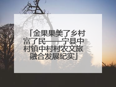 金果果美了乡村富了民——宁县中村镇中村村农文旅融合发展纪实