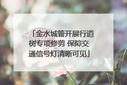 金水城管开展行道树专项修剪 保障交通信号灯清晰可见