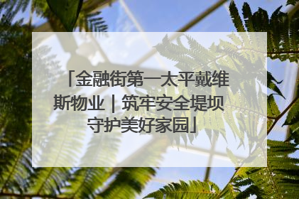 金融街第一太平戴维斯物业｜筑牢安全堤坝 守护美好家园