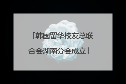 韩国留华校友总联合会湖南分会成立