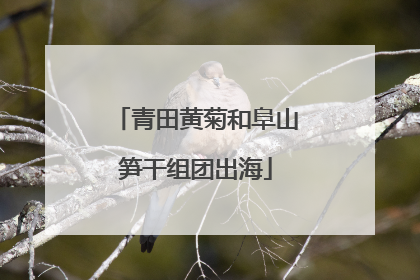 青田黄菊和阜山笋干组团出海