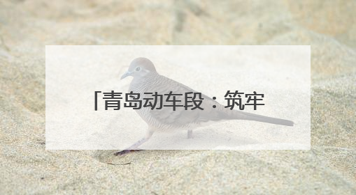 青岛动车段：筑牢夏日“清凉防线”