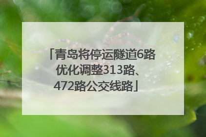 青岛将停运隧道6路 优化调整313路、472路公交线路