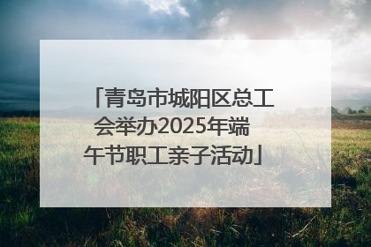 青岛市城阳区总工会举办2025年端午节职工亲子活动