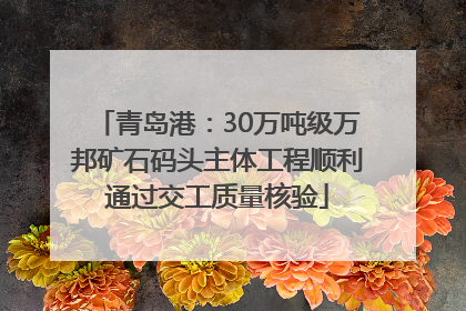 青岛港：30万吨级万邦矿石码头主体工程顺利通过交工质量核验