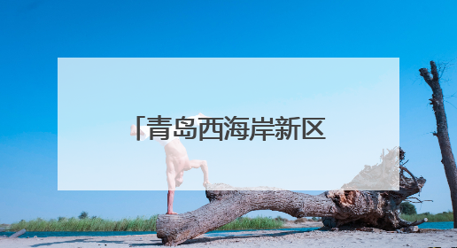 青岛西海岸新区隐珠街道：集中排查入海排污口，筑牢海洋生态防线