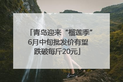 青岛迎来“榴莲季” 6月中旬批发价有望跌破每斤20元