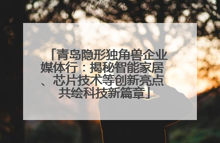 青岛隐形独角兽企业媒体行：揭秘智能家居、芯片技术等创新亮点 共绘科技新篇章