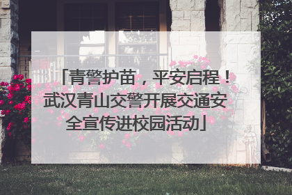 青警护苗，平安启程！武汉青山交警开展交通安全宣传进校园活动