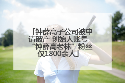 钟薛高子公司被申请破产 创始人账号“钟薛高老林”粉丝仅1800余人