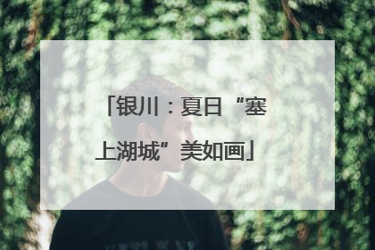 银川：夏日“塞上湖城”美如画
