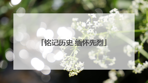 铭记历史 缅怀先烈