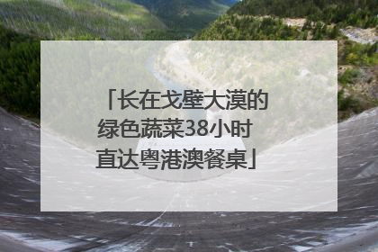 长在戈壁大漠的绿色蔬菜38小时直达粤港澳餐桌