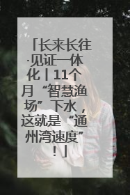 长来长往·见证一体化丨11个月“智慧渔场”下水，这就是“通州湾速度”！