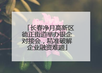 长春净月高新区德正街道举办银企对接会，精准破解企业融资难题