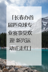 长春办首届匹克球专业赛事受欢迎 新兴运动正走红