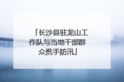 长沙县驻龙山工作队与当地干部群众携手防汛