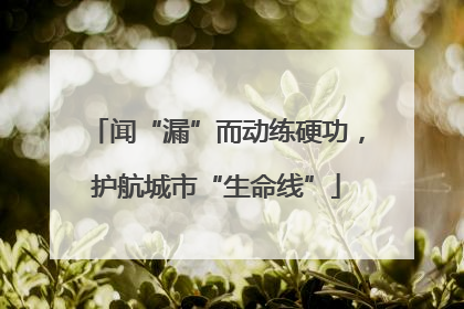 闻“漏”而动练硬功，护航城市“生命线”