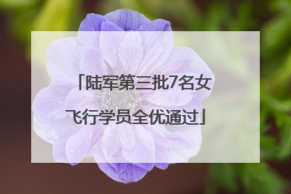 陆军第三批7名女飞行学员全优通过