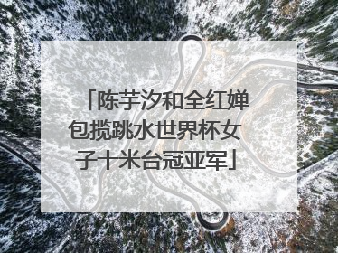 陈芋汐和全红婵包揽跳水世界杯女子十米台冠亚军