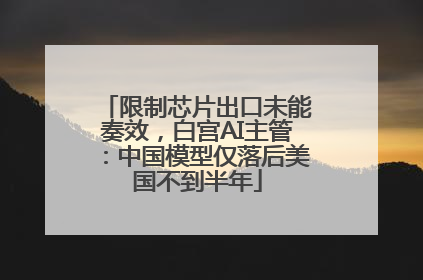 限制芯片出口未能奏效，白宫AI主管：中国模型仅落后美国不到半年
