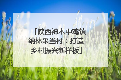 陕西神木中鸡镇纳林采当村：打造乡村振兴新样板