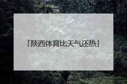 陕西体育比天气还热