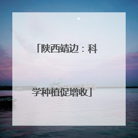 陕西靖边：科学种植促增收