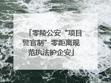 零陵公安“项目警官制”零距离规范执法护企安