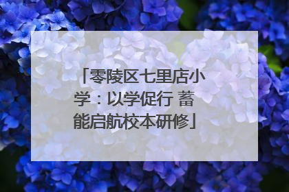 零陵区七里店小学：以学促行 蓄能启航校本研修