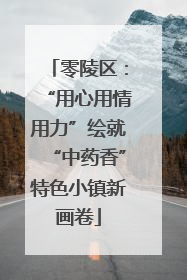 零陵区：“用心用情用力”绘就“中药香”特色小镇新画卷
